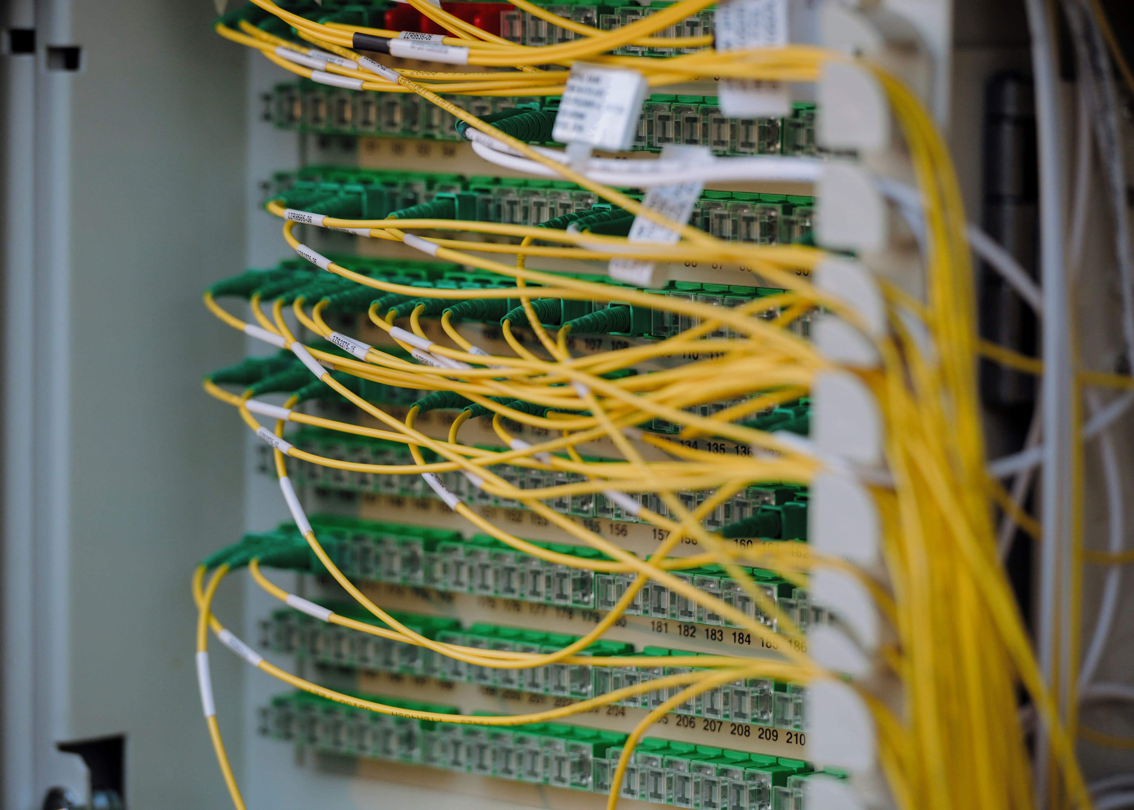 Neatly organised yellow network cabling in a data rack